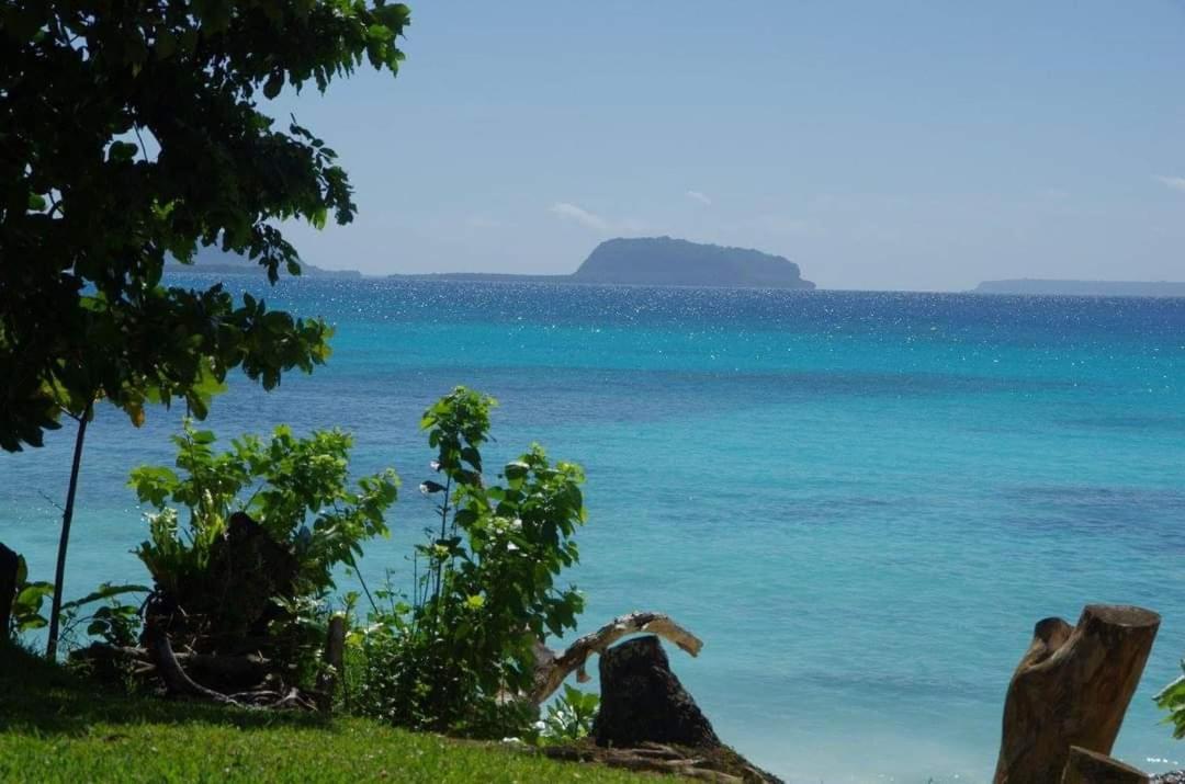 Lonnoc Beach Lodge Hog Harbour 外观 照片